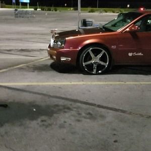 Meet your Posher, Timmy